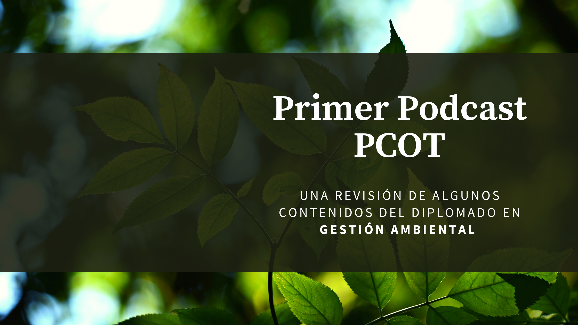 Primer Podcast PCOT: Un acercamiento a las temáticas del Diplomado en Gestión Ambiental